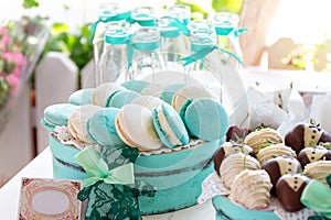 Turquoise macarons. Wedding cakes and deserts