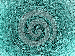 Turquoise macro world texture background