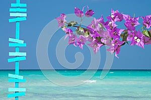 Turquoise ocean woodpost and pink bougainvillea flowers