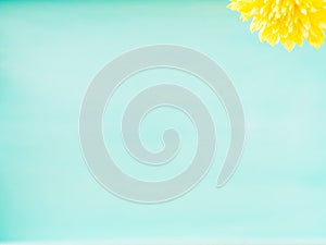 Turquoise pastel wooden background with flower