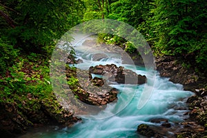 Turquoise Radovna river in the fresh green forest, Slovenia