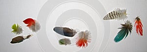 Turquoise Red Green Blue and Brown Feathers on White Linen Background