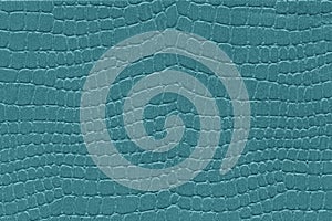 Turquoise reptile skin. crocodile leather texture background