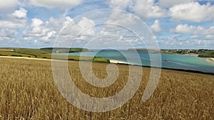 Of turquoise river estuary, with sandy beaches and boats, over a golden wheat field.