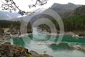 Turquoise river Katun in the autumn on Altai