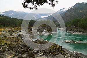 Turquoise river Katun in the autumn on Altai