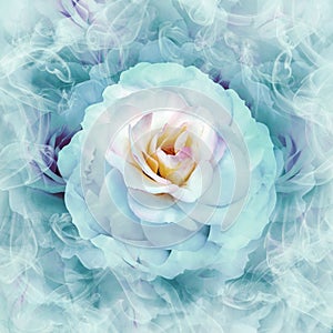 A turquoise rose flower on light turquoise  floral background.  Rose petals around the flower.  Flower in curls of smoke.