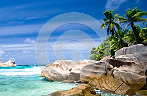 Turquoise sea  coconut palms  and rocks in the Seychelles islands