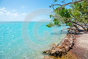 Turquoise sea in Florida Keys shore