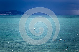 Turquoise sea with martens flying and grey sky