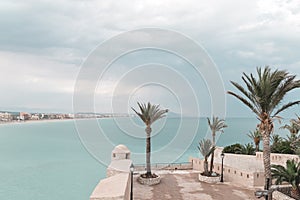 Turquoise sea and palm trees