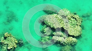 Turquoise sea surface in Mindanao. Philippines.