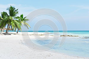 Turquoise sea,tropical beach, palm trees, white sand and palm trees. photo