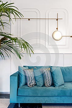 Turquoise sofa and green leafy plant in the interior of the living room in front of white decorative illuminated wall