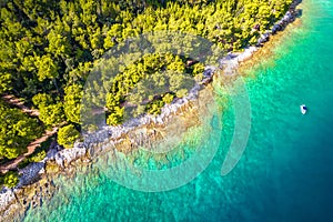 Turquoise stone beach in Rovinj aerial view, pine trees archipelago