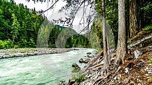 The turquoise water of the Lillooet River