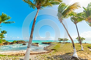 Turquoise water and palm trees in Bas du Fort beach