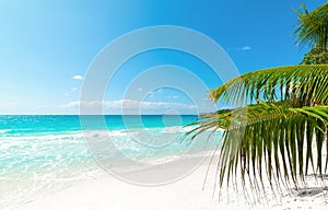 Turquoise water and palm trees in a tropical beach