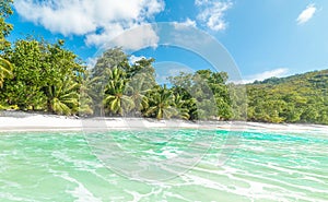 Turquoise water and palm trees in a tropical island