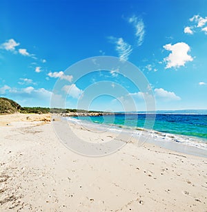 Turquoise water by the shore