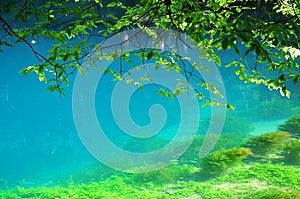 Turquoise water at source of river Blau in Blaubeuren, Germany