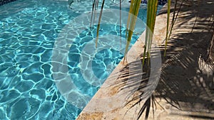 Turquoise water in a swimming pool surrounded by palm trees.