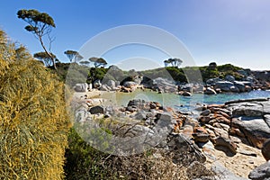 Turquoise waters with orange lichen growing on granite rocks, rocky coastline at Skeleton Bay, Bay of Fires in