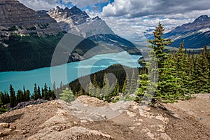 The turquoise waters of Peyto Lake in Jasper National Park