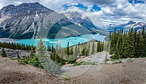 The turquoise waters of Peyto Lake in Jasper National Park