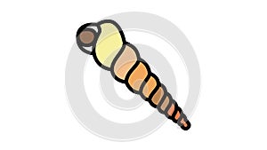 turritella sea shell beach color icon animation