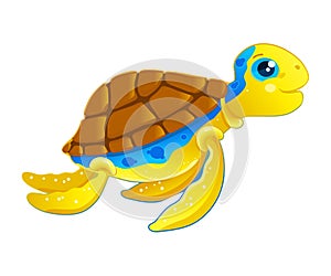 Turtle