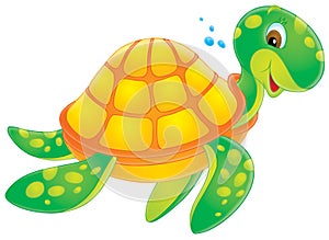 Turtle