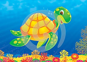 Turtle