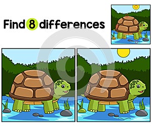 Turtle Animal Find The Differences