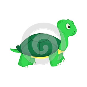 Turtle animal ocean green nature wildlife sea underwater reptile character vector illustration.