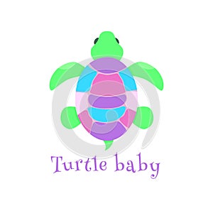 Turtle baby colorful. Isolated vector illustration. For logo of kids club, shcool, preshcool. Print