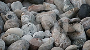 Turtle baby crawls to the sea. Cirali, Turkey.