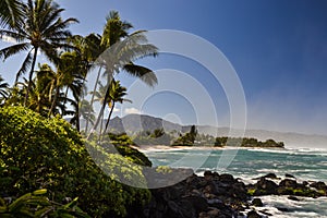 Turtle Beach near Haleiwa - North shore Oahu, Hawaii