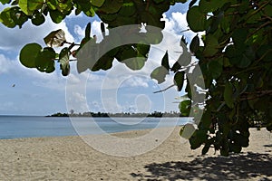 Turtle Beach, Tobago, West indies.