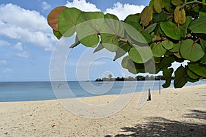 Turtle Beach, Tobago, West indies.