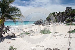 Turtle Beach Tulum Yucatan Peninsula Mexico photo