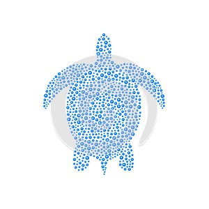 Turtle in blue design