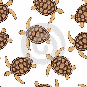 Turtle brown seamless pattern, beautiful character. Underwater, marine wild turtles isolated on white.