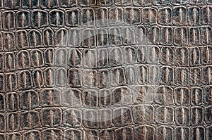 Turtle carapace pattern