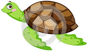 A turtle in cartoon character