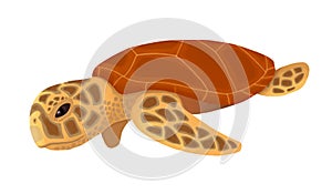 Turtle, colorful hand drawn stylized digital illustration