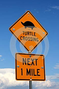 Turtle Crossing Sign