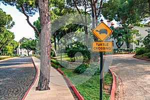 Turtle crossing yellow sign on lonely empty road with grass