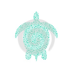 Turtle in cyan design