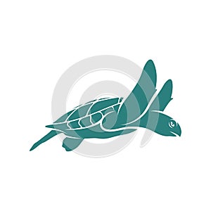 Turtle design vector illustration, Creative Turtle logo design concepts template, icon symbol